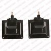 DELPHI GN10048 Ignition Coil Unit